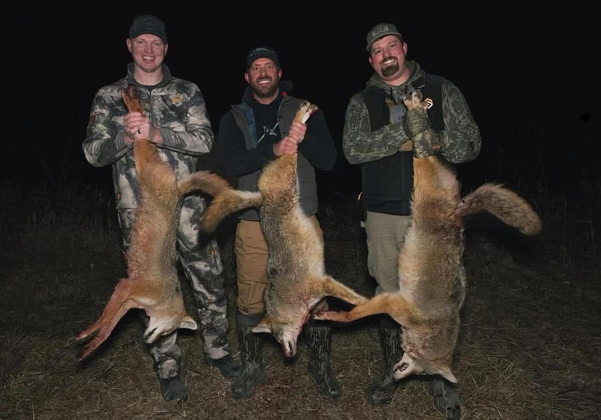 optics_force's tweet image. Stacked ’em up under the moonlight.

Hard work, good calls, and sharp shooting made for one heck of a night in the field! That what we call predator control done right. ✅

#CoyoteHunting #PredatorControl #NightHuntSuccess #ThermalHunting #VarmintHunting