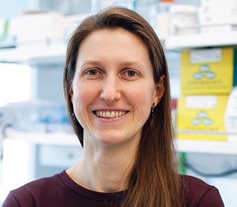 uclachem's tweet image. The UCLA Department of Chemistry & Biochemistry is excited to welcome Professor Kalli Kappel (@KalliKappel), who joined UCLA as an Assistant Professor on July 1, 2025. chemistry.ucla.edu/news/welcoming…