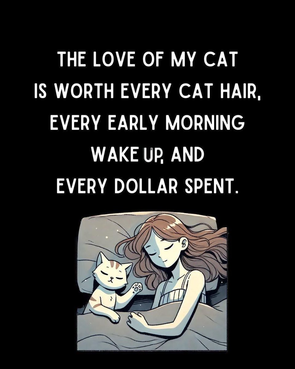 Cats and Kittens (@catsnkittys) on Twitter photo 