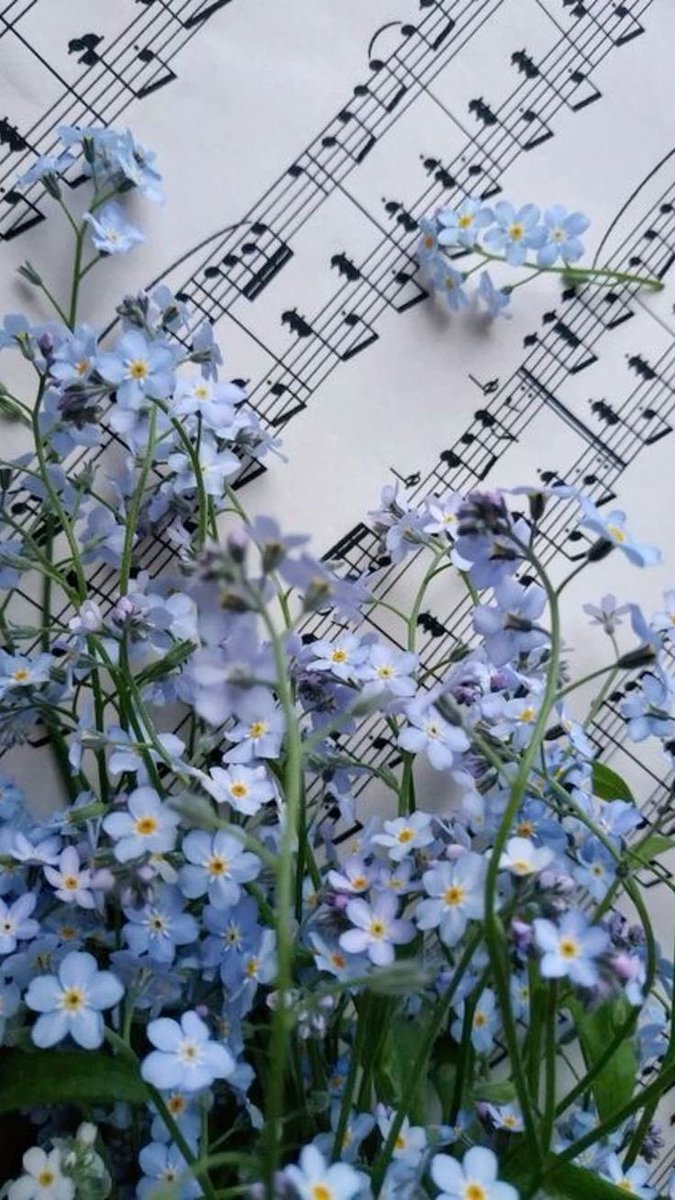 PandoraDreams22's tweet image. Life can be simple, don’t complicate things.
Don’t get involved unless necessary,
ignore negativity, just walk away,
focus on self care not other people’s
problems.
own only necessities not everything
under the sun,
enjoy little things that brings joy to
your life.
Live simple.
