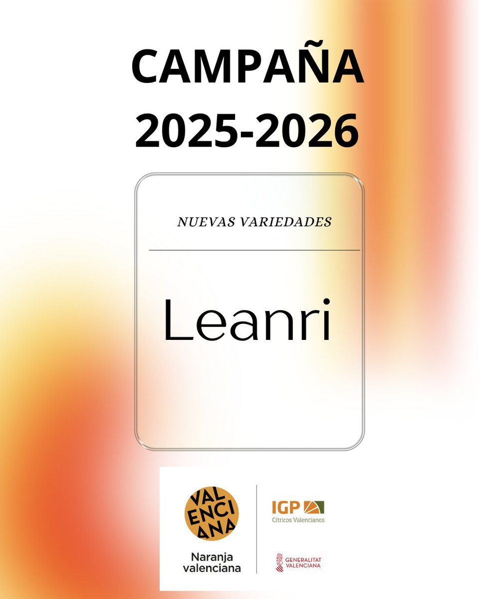 CValencianos's tweet image. La próxima campaña con nuevas variedades. #leanri el equilibrio entre acidez y dulzura. @Cvalencianos #SomosmásCítricos @ComiteCitricos @ava_asaja @ASAJAALICANTE @UnioLlauradora @CoopsAgroCV @GVAagricultura