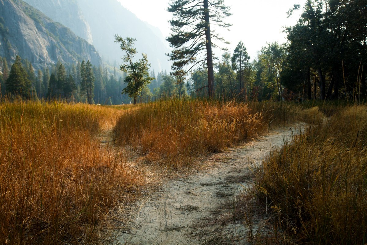 LorilynRoberts's tweet image. Short Story: Then There Was One #shortstory | Lorilyn Roberts - go.shr.lc/4f8pyGj