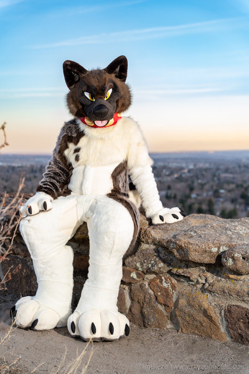 SeireinoSensh's tweet image. Why don't you come take a seat next to these big thighs.
Who will i see at Megaplex ? Should be able to bring a lot more things and suits if anyone wants to meet or suit swap. Love to try a SpiritPanda, Beauty of the bass, PhoenixNest, Bncreation, kigurumi kagetsu and more…
