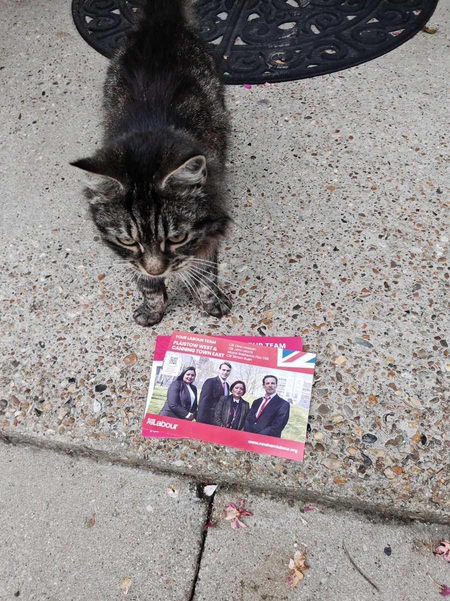 It was great talking to residents of Plaistow West and Canning Town East this afternoon on the #LabourDoorstep about the local area. Lots of support for Labour🌹, especially from the feline community. Also, thanks to <a href="/heathrisaa/">Heather</a> for helping us on the doorstep.