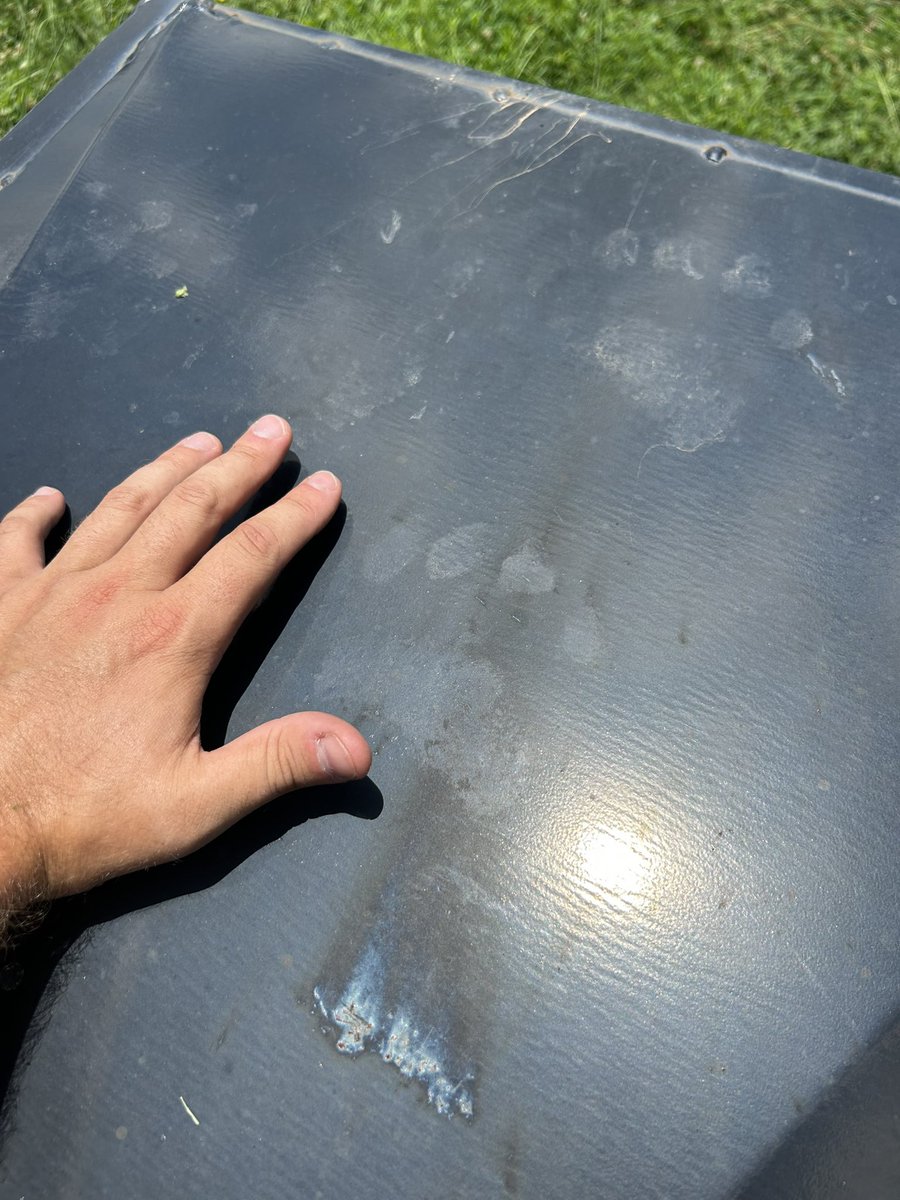 CrystalSeth's tweet image. Momma and cubs were here.
