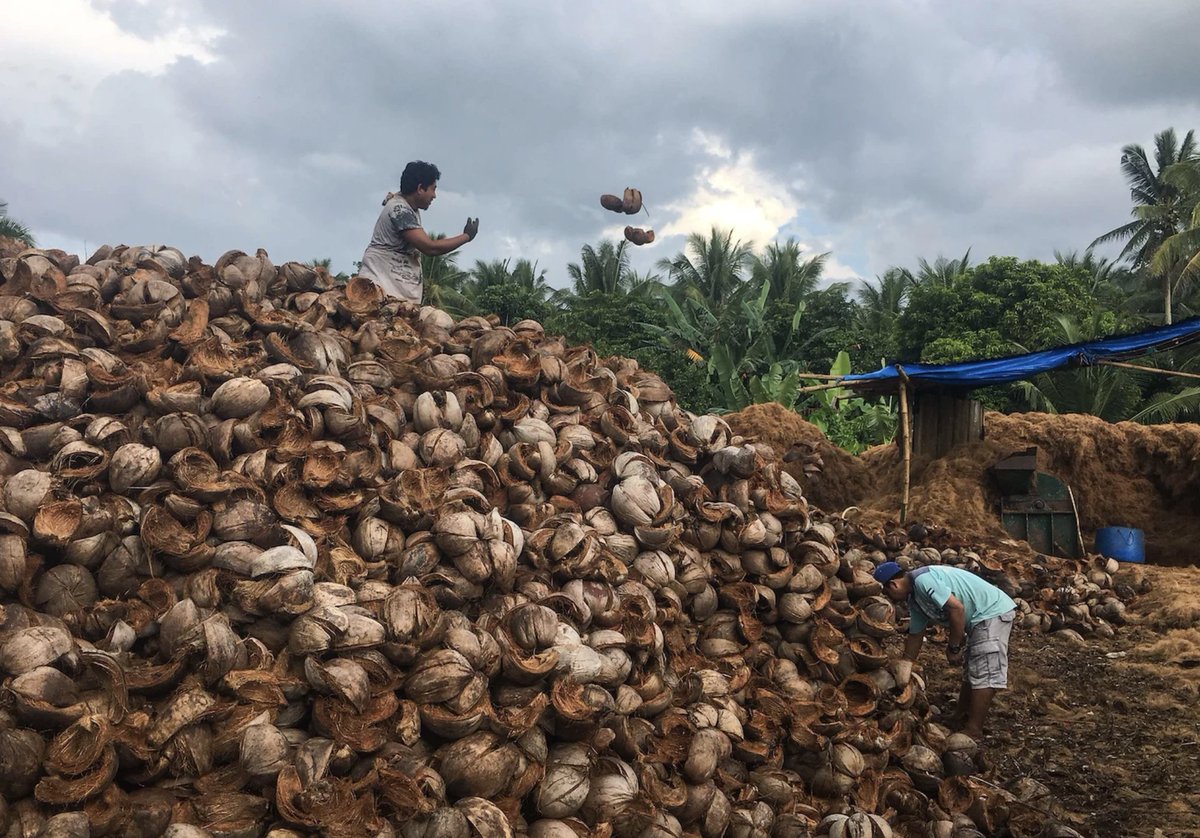 pnud's tweet image. “Tenemos la misión de reemplazar la espuma de plástico por fibras naturales de una vez por todas”
– Tamara, Filipinas
Conoce esta solución que beneficia tanto a los agricultores como al planeta: go.undp.org/UVJ
#PlasticFreeJuly