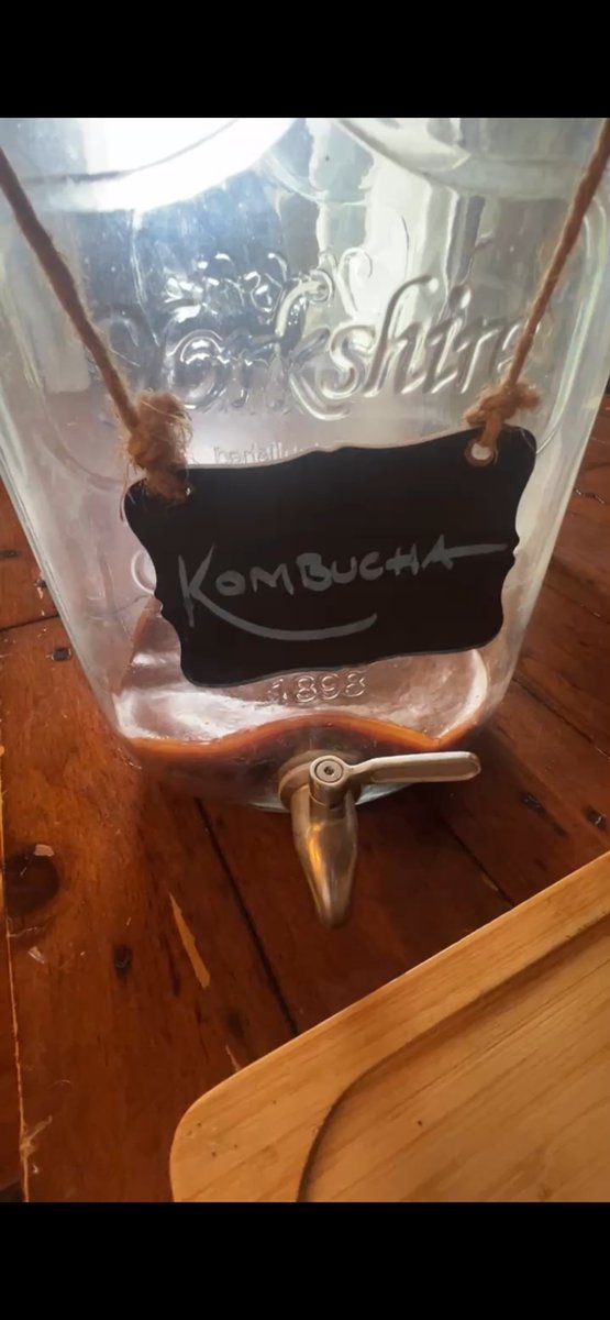 AlaskanScribe's tweet image. After letting my kombucha sit 4 years without feeding it, I decided I shouldn't let it die. Until just a few months ago, there was some booch vinegar. It looked so dry today, I was worried. Pulling it out, it wasn't too dry and smelled good (if you like vinegar).
Wish me luck!