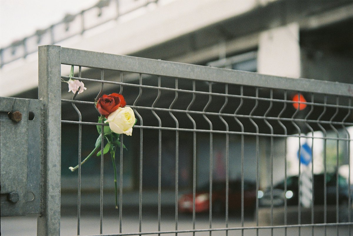 bsherm36's tweet image. Thanks @quailbellmag for publishing my ekphrastic micro, "Fences." quailbellmagazine.com/the-unreal-20/…
