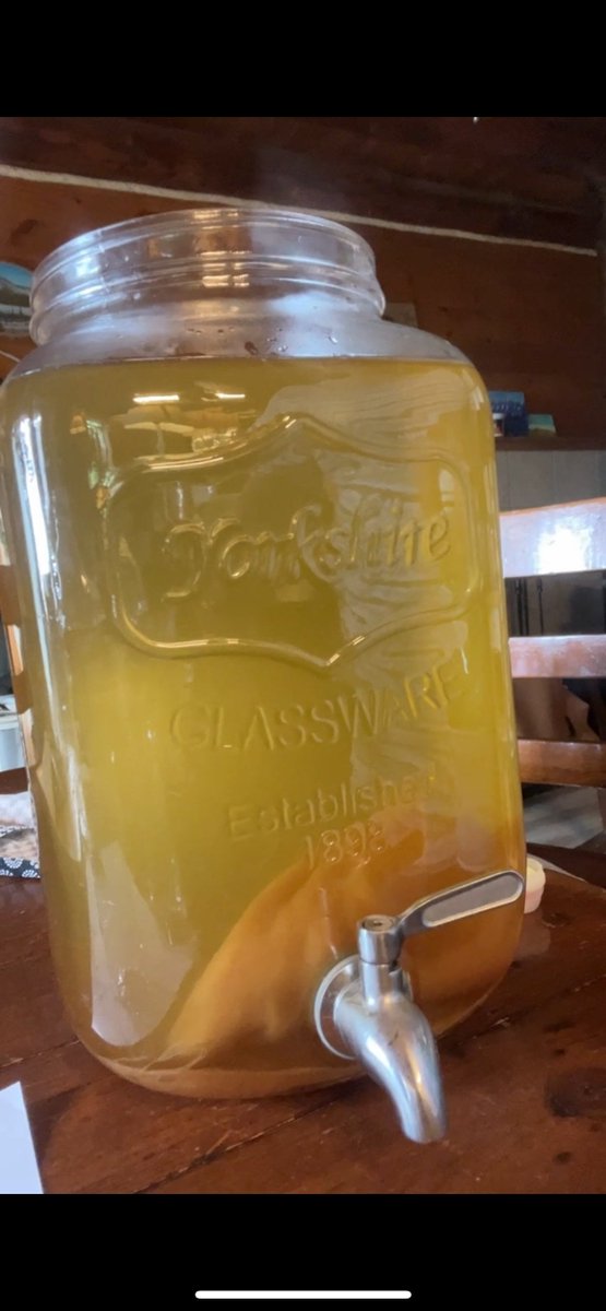 AlaskanScribe's tweet image. After letting my kombucha sit 4 years without feeding it, I decided I shouldn't let it die. Until just a few months ago, there was some booch vinegar. It looked so dry today, I was worried. Pulling it out, it wasn't too dry and smelled good (if you like vinegar).
Wish me luck!
