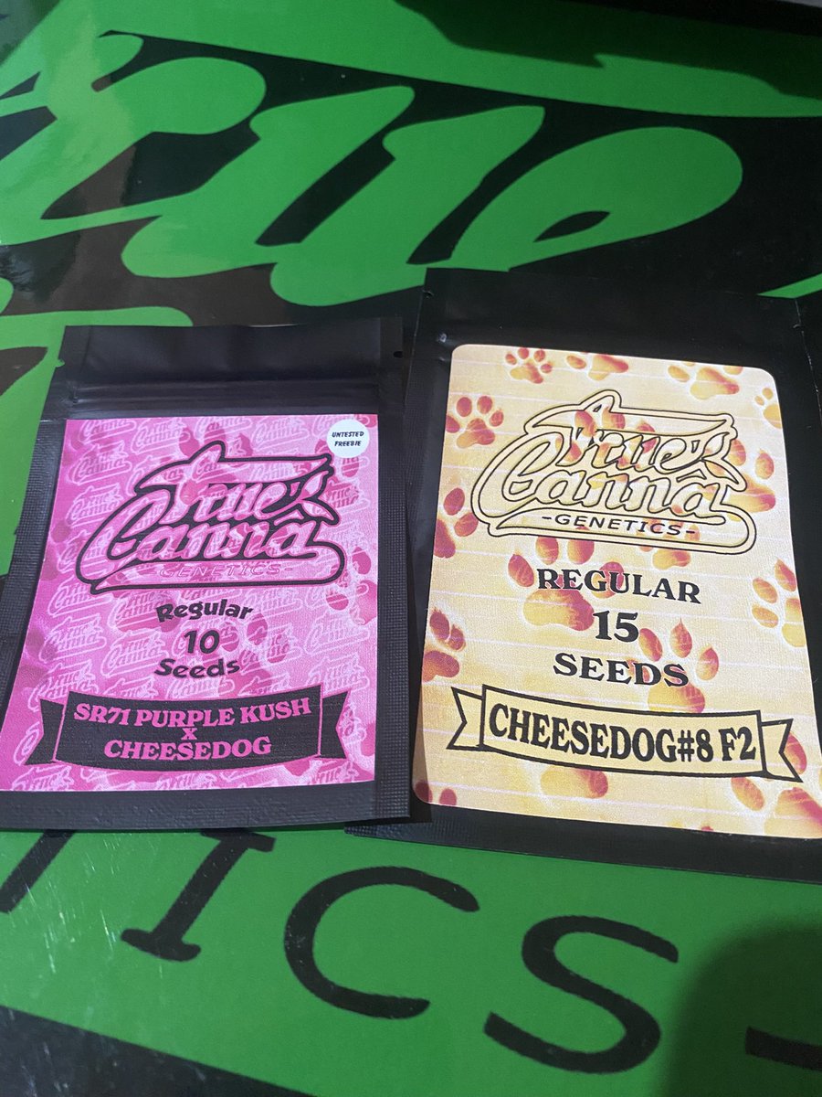All packs of CheeseDog come with free pack of SR71 Purple Kush x CheeseDog testers