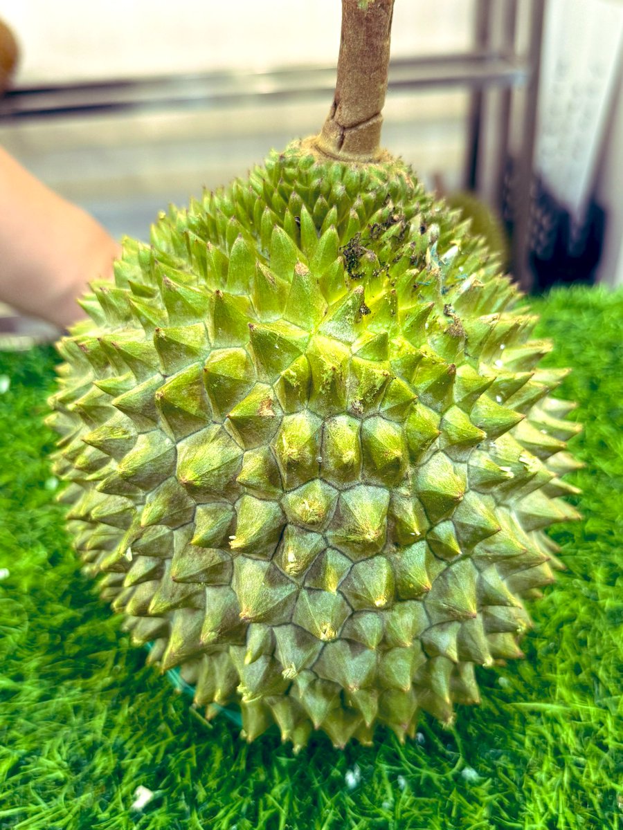 人生第一次吃貓山王🥰🥰🥰