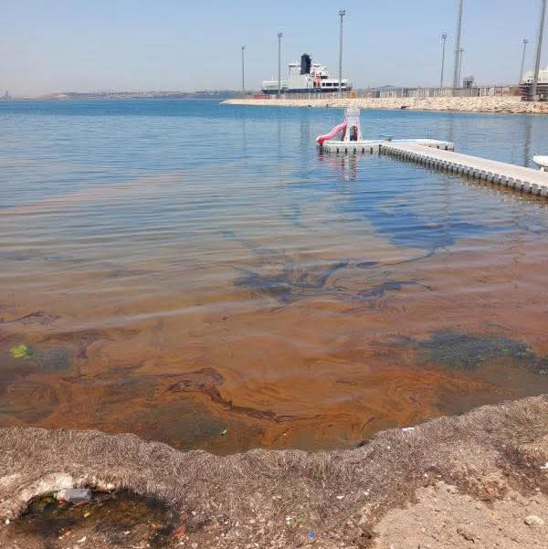 Marmara'nın içine sıçtınız içine..
Sizin sanayinizin de tershanenizin de fabrikanızın da.. Yazıklar olsun.
