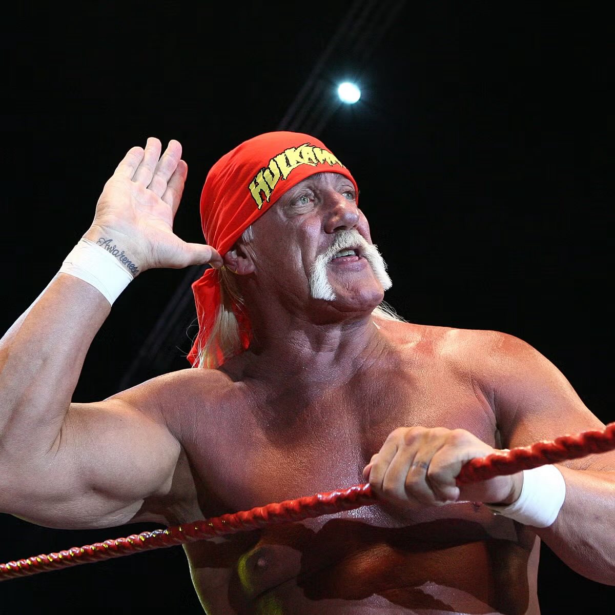 MartinLitwak's tweet image. RIP Hulk…