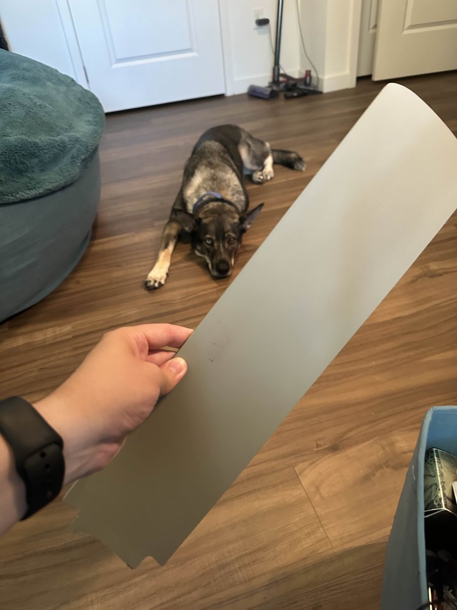 TheTrinketMage's tweet image. I destroyed my celling fan while filming a sponsor segment I’m just gonna use that take and hope they don’t notice