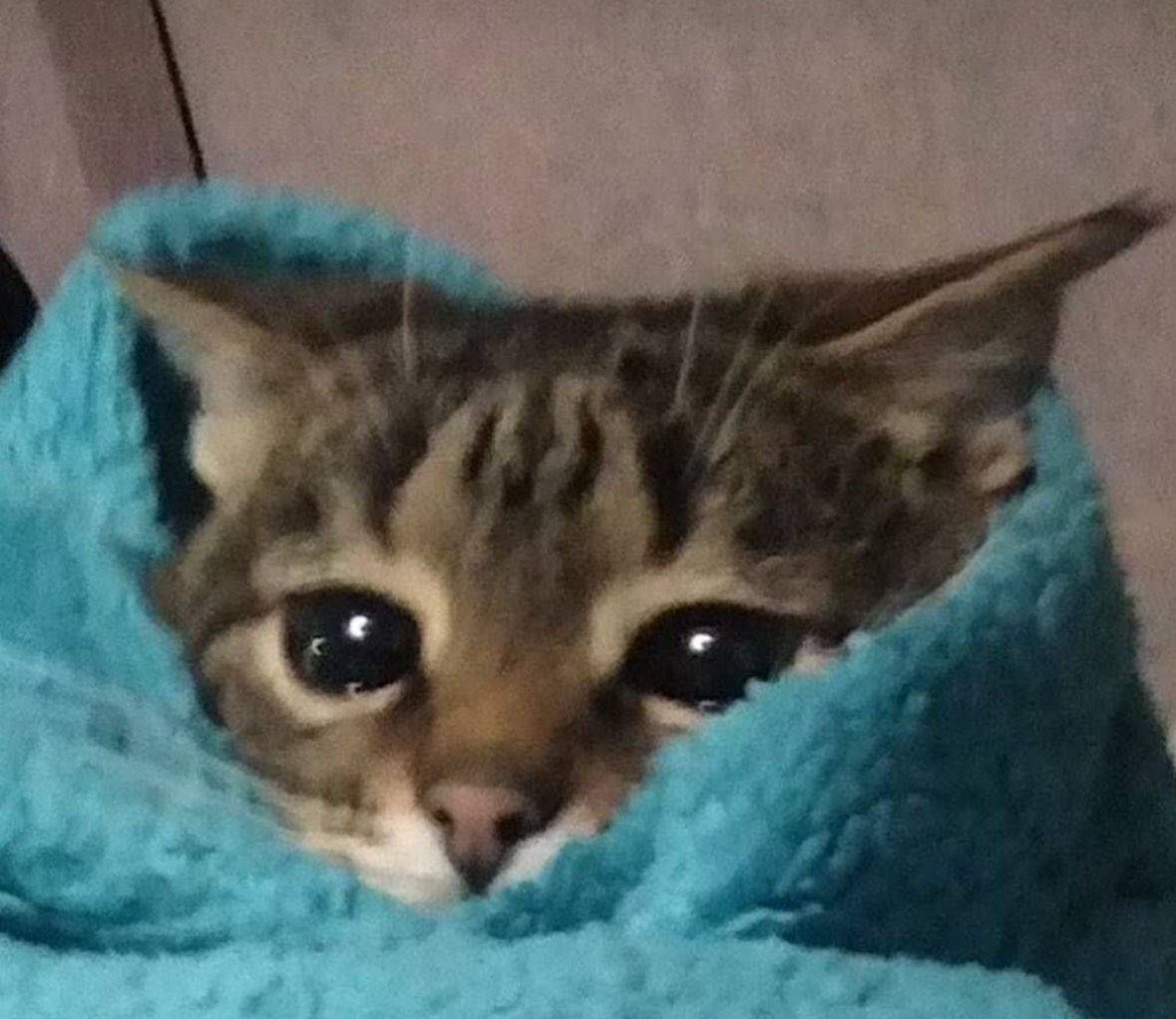 x_maruko97's tweet photo. "imaginary friend " متى تفك من الواحد ؟ 
يعني مو طبيعي من الساعه 4 ونص وانا اسوالف مع بنات افكاري و 70% من السوالف من وحي الخيال. https://t.co/NOcB0AMpsI
