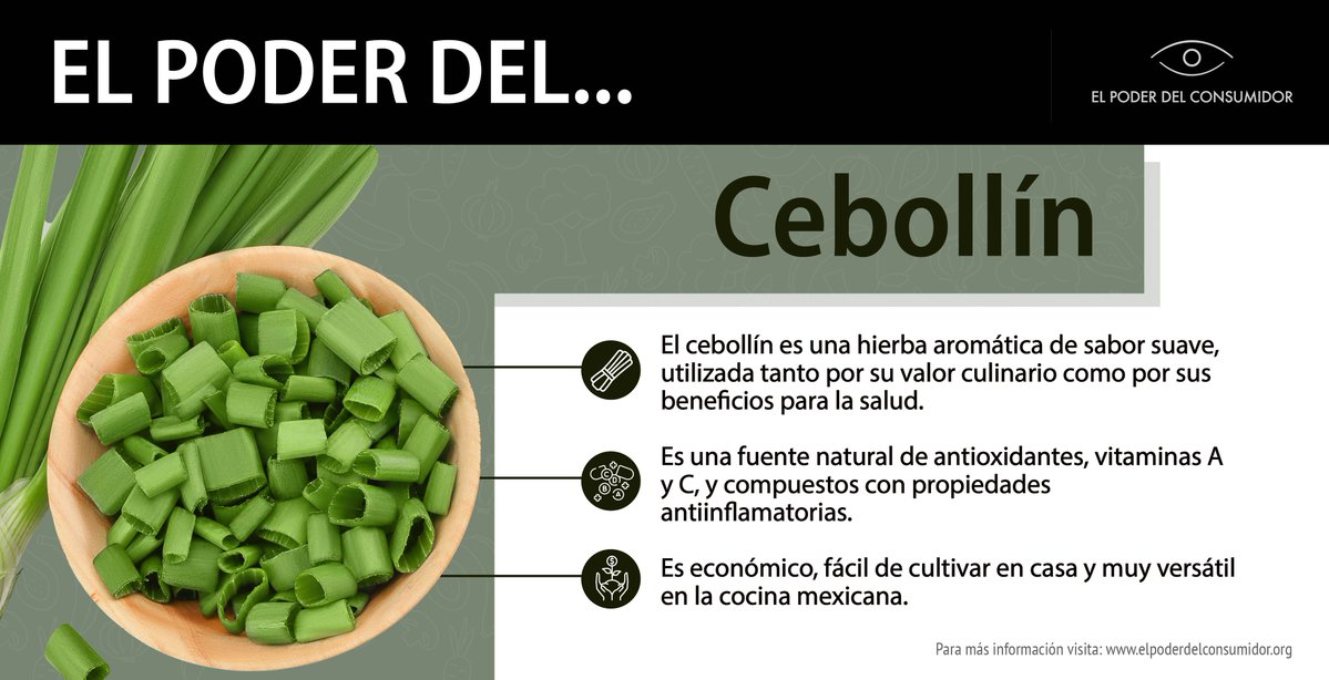 elpoderdelc's tweet image. 🤩Su alto contenido de fitoquímicos, convierte al cebollín en un excelente complemento para platillos saludables y equilibrados.
También aporta ácido fólico, fundamental en etapas de crecimiento o embarazo.
Conoce más de su poder.
f.mtr.cool/oedzxwydbk