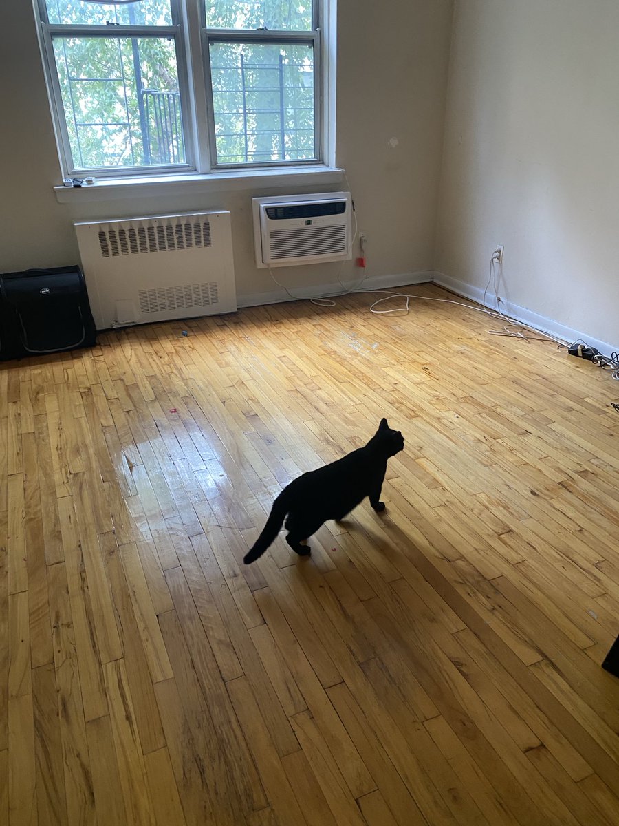 FrankConniff's tweet image. Billy! You pissed the furniture off so much it left for Minneapolis without us!
