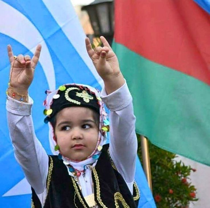 "Bozkurt, Türklüğün sembolüdür."