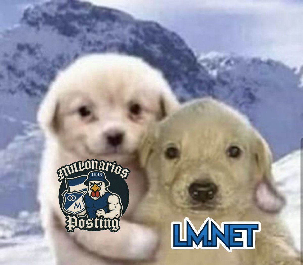 -Un mensaje de solidaridad con nuestros compañeros de <a href="/losmillonarios/">LosMillonarios.Net ( LM.Net ) ⭐️16</a> por lo sucedido el día de ayer. Sabemos que de los únicos críticos y sin pelos en la lengua para decir las cosas. 🔵⚪