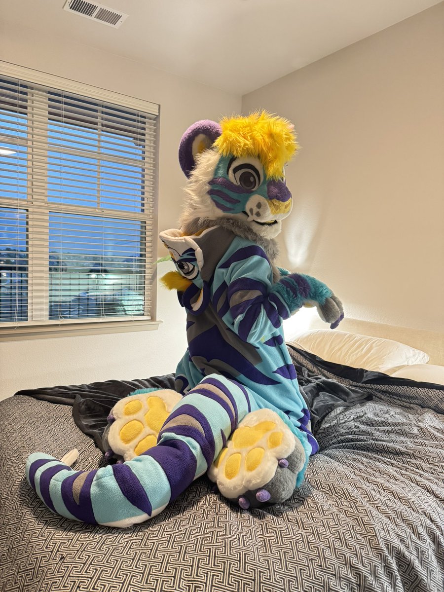 Rocket_Pup_Prod's tweet image. Some indoor feet paws I made for my beautiful bodacious fiancé's birthday! 🎉
Made on a modified pattern of @FarukuCostumes paw base 🐾
Kigu 🪡: @mangoislandarts
Suit head & hand paws 🪡: @WildcatCostumes