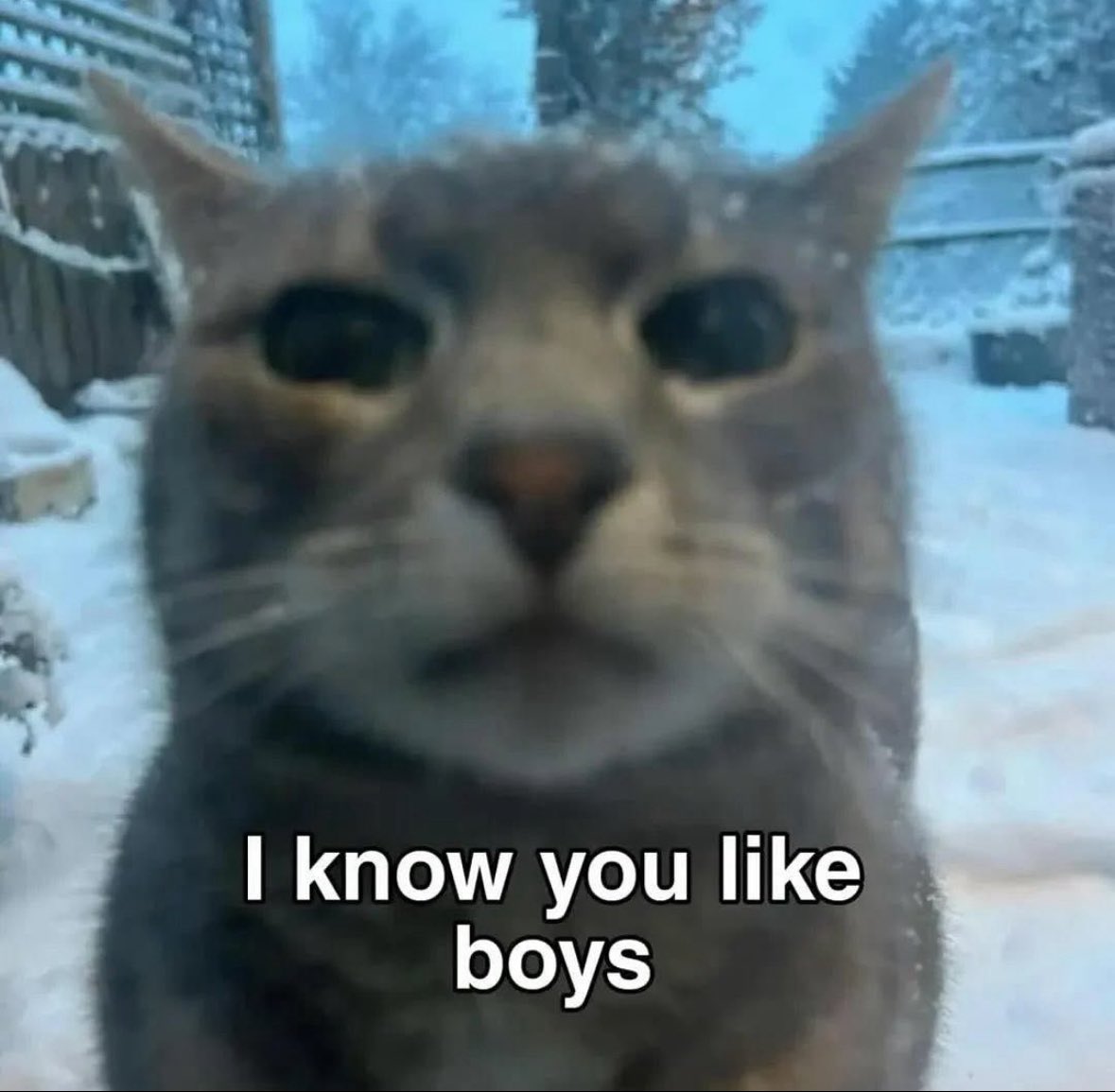 Imhereiguess__'s tweet image. 