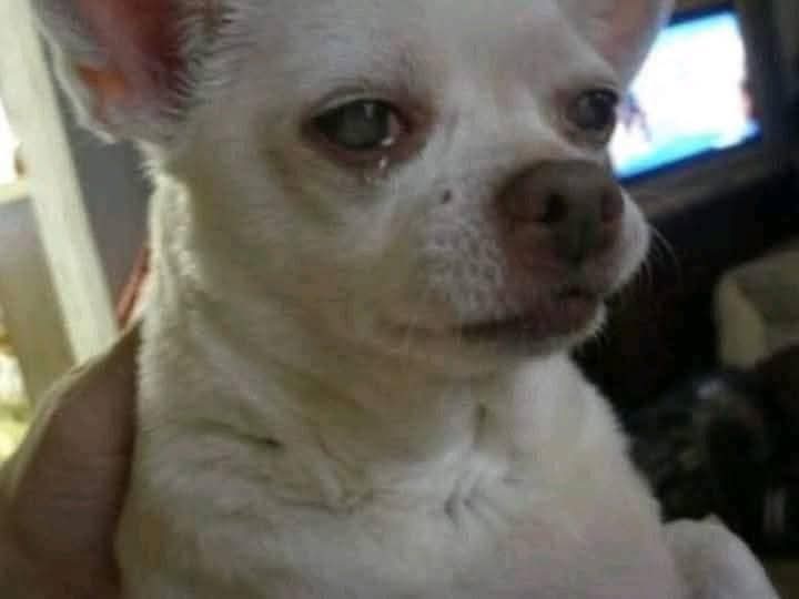 uMshumayeli_011's tweet image. when all you wanted was money but Thatohatsi & Tracy pay you with a reality check.