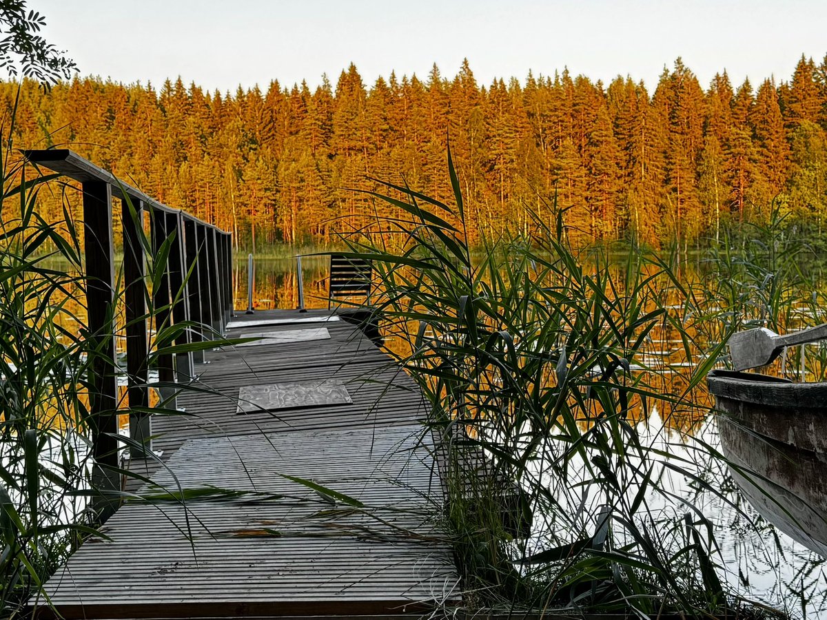 GFickmuller's tweet image. Sauna ja lampi. 

#sauna #lampi