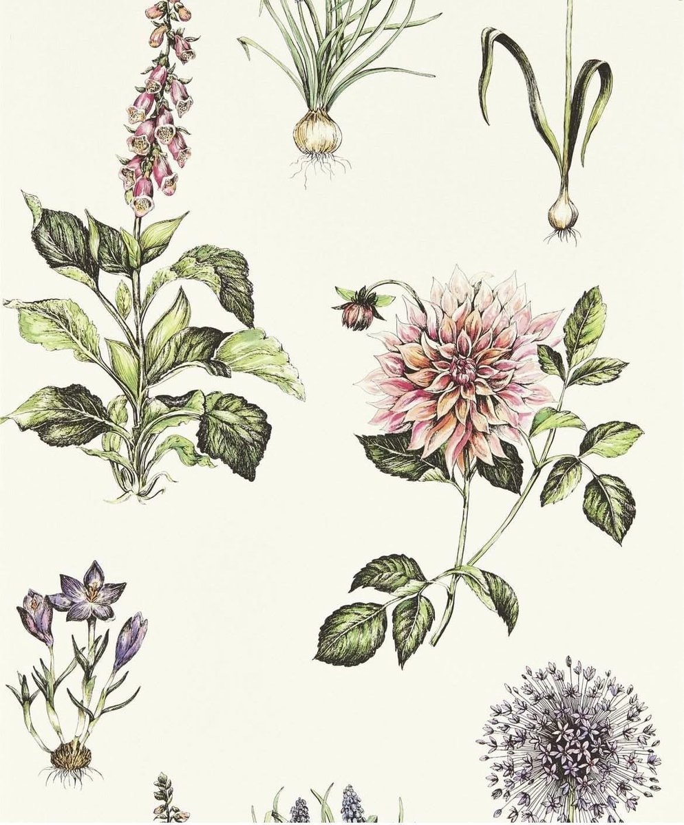 Blakes Interiors & Decor tweet media