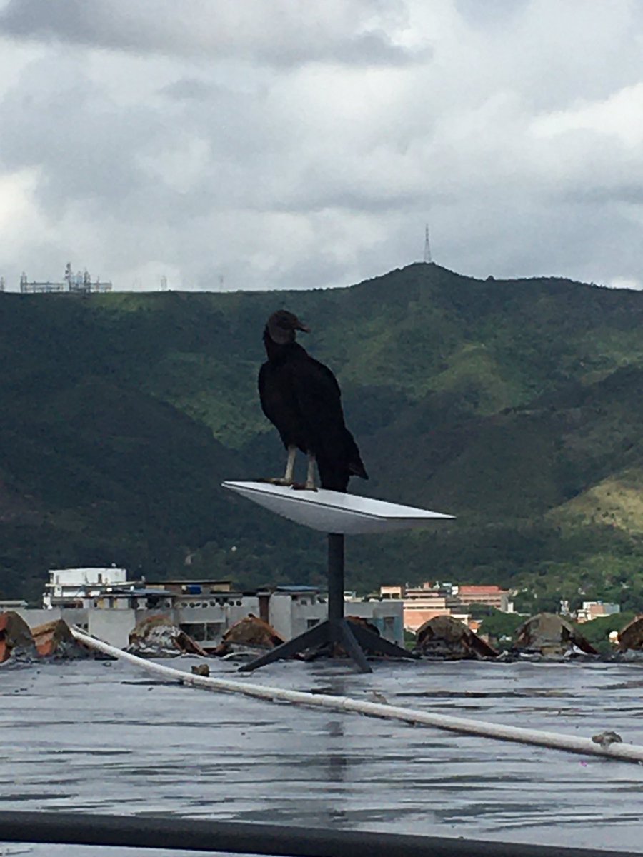 Great design <a href="/elonmusk/">Elon Musk</a>