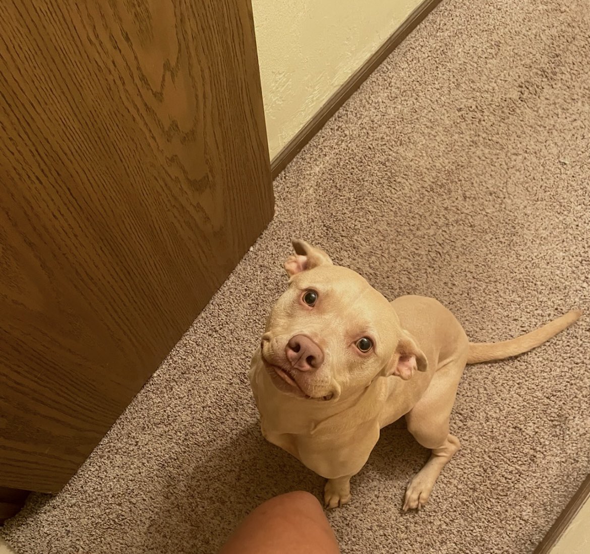 _remmone's tweet image. I want my baby girl back 🥹💛