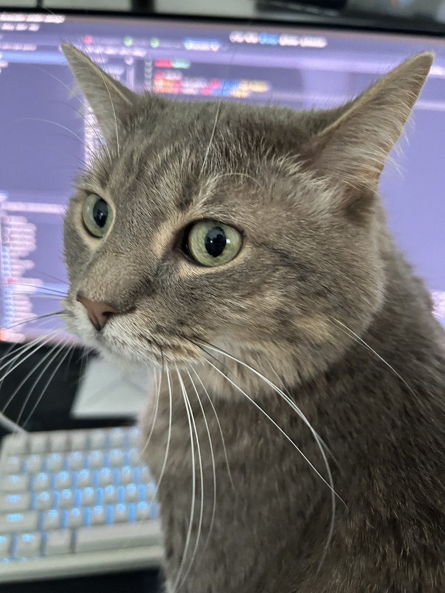 realkorzai's tweet photo. My senior dev is working hard today. #MercenaryGalactic https://t.co/6HsFArsBmF