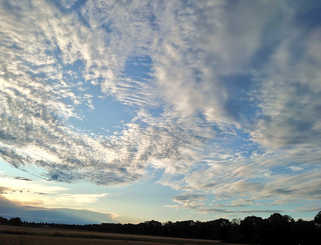 Schönen Abend