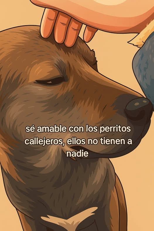 Sabueson (@sabueson) on Twitter photo 