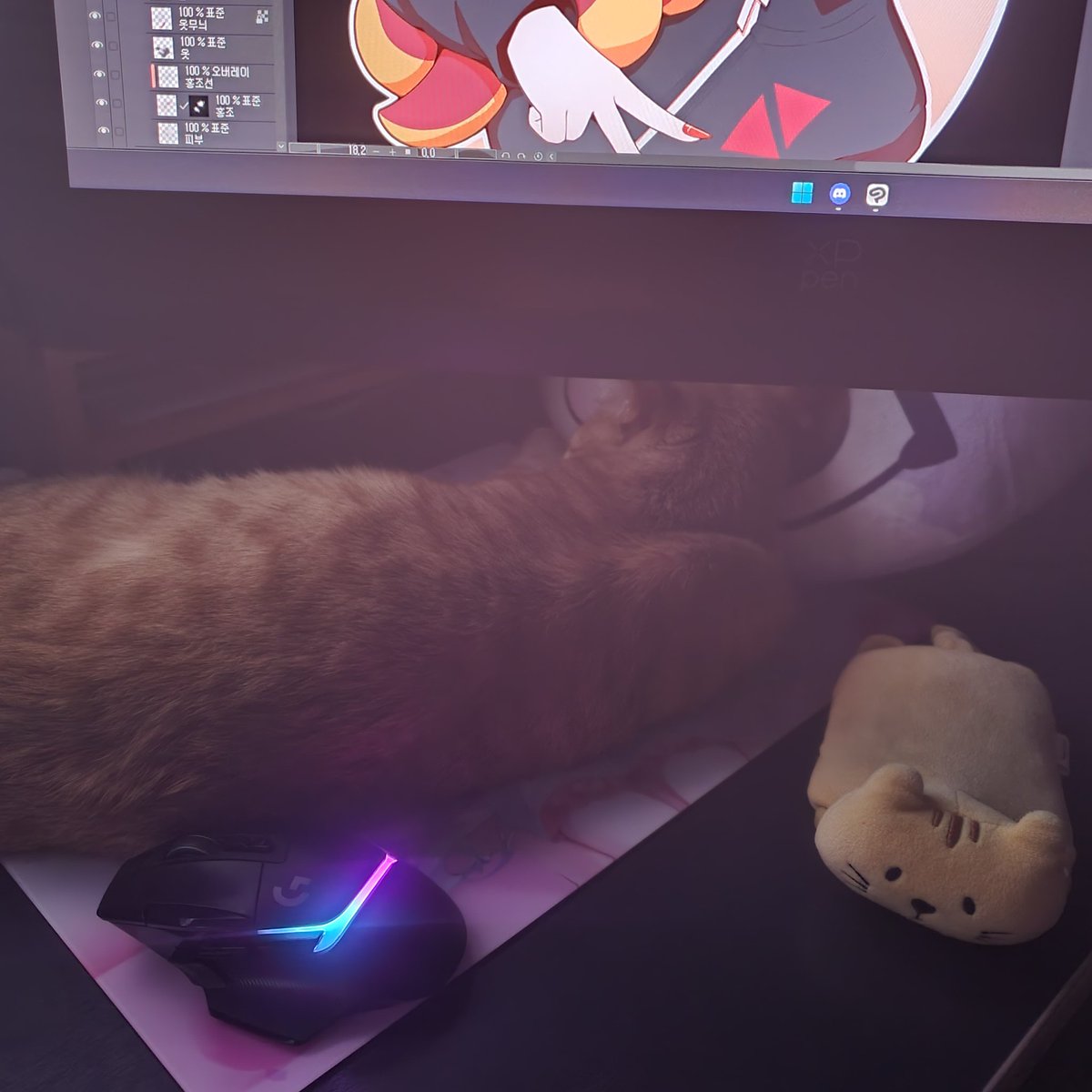 moijo_nn's tweet image. 분명 엄청 넓은 마우스패드인데 왜이리 좁지...