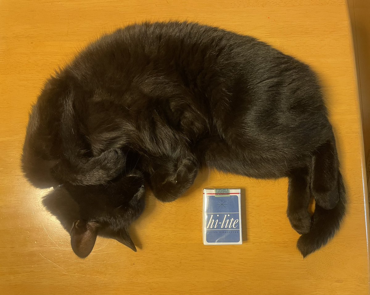 はるかリセット第194話読了。これは大きさの指標とする為に被写体の側にハイライトのパッケージを配置する昭和仕草!?かつては喫煙率がえらく高くて煙草が身近なアイテムだったからイメージしやすかったのだ。 