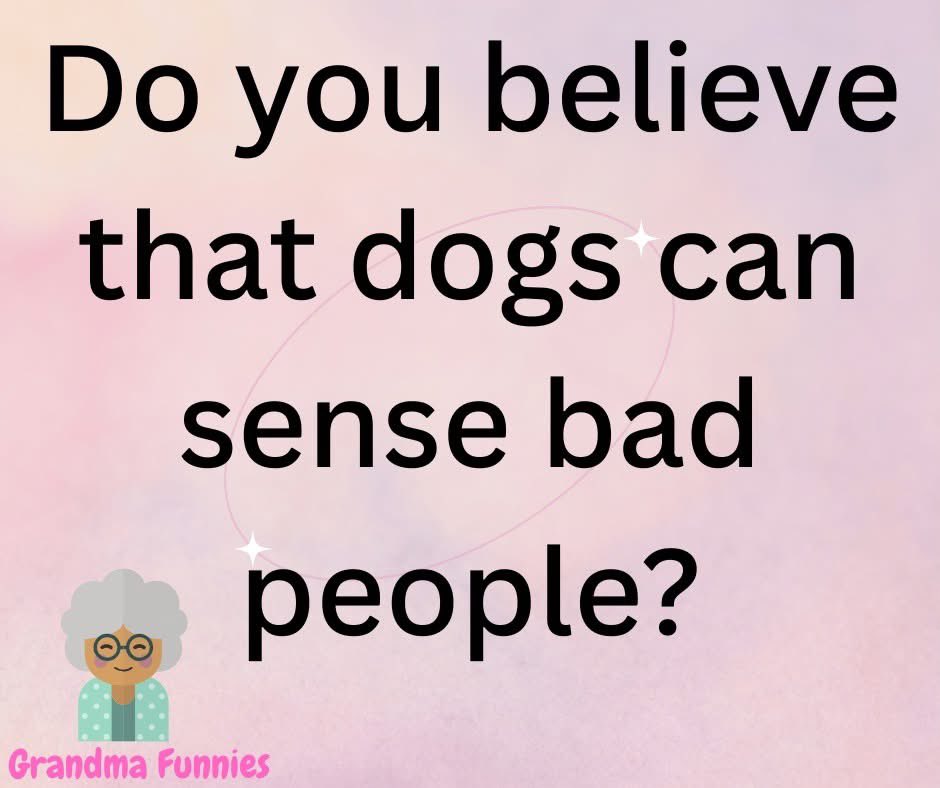 DK🇺🇸🦅🇺🇸 tweet media