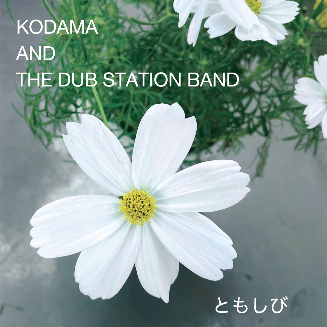 稀少2LP/KODAMA(ECHO～/A SILENT～ シュリンク/こだま和文 echo-info（staff）🎺 🎗🕊🌻🍉✨ on X: 
