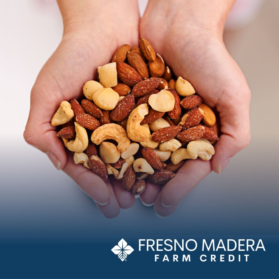 Happy National Grab Some Nuts Day! 🌰
Did you know that California produces almost 90% of U.S. tree nuts? At Fresno Madera Farm Credit, we’re nuts about supporting our local farmers! Whether you’re growing almonds, walnuts, or pistachios, we’re here to help you harvest success.