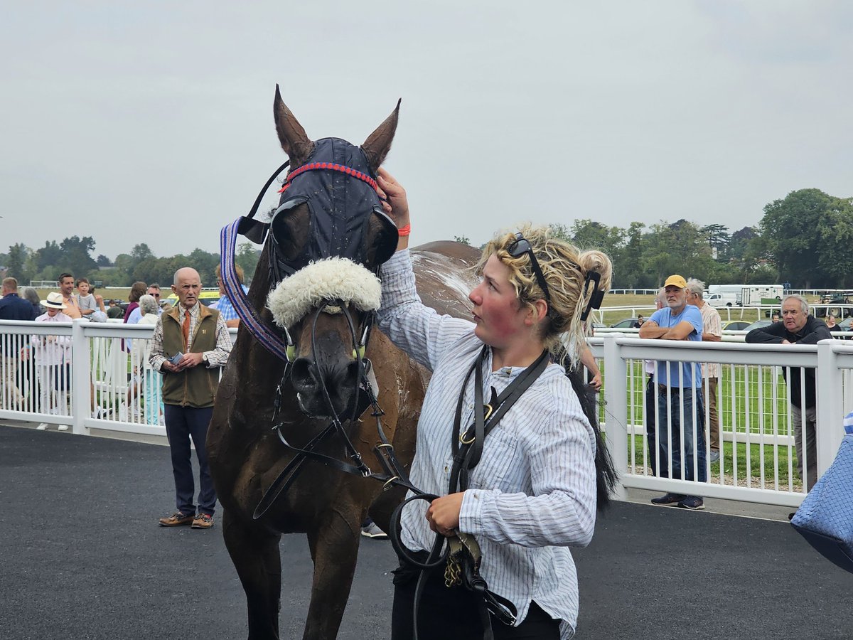 MikeParcej's tweet photo. Reviews Time. Starting off with a nice victory for local trainer @SJDRacing as Zacony Rebel steps up on his recent runs to return to former glories, easily beating Isocrate, under @james_bowen_ . Seems to be happier in a smaller yard, and is thriving again now. Jumped well too. https://t.co/rpH5IRhlvn