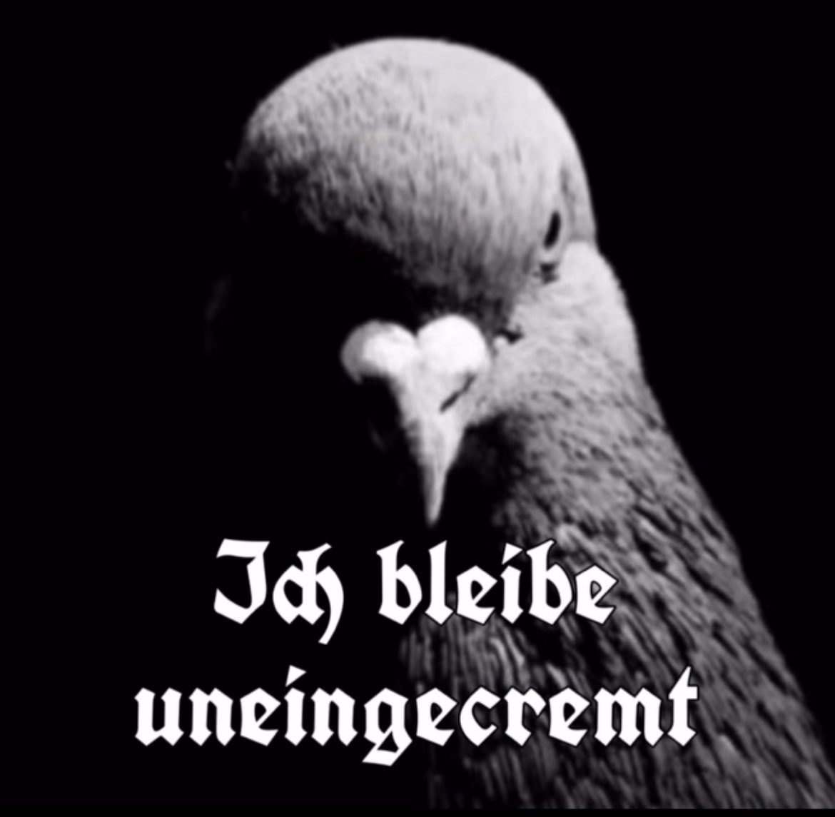minj3ns's tweet image. Welcher Tätowierer im Sendegebiet hackt mir das 60x40cm auf den Rücken?