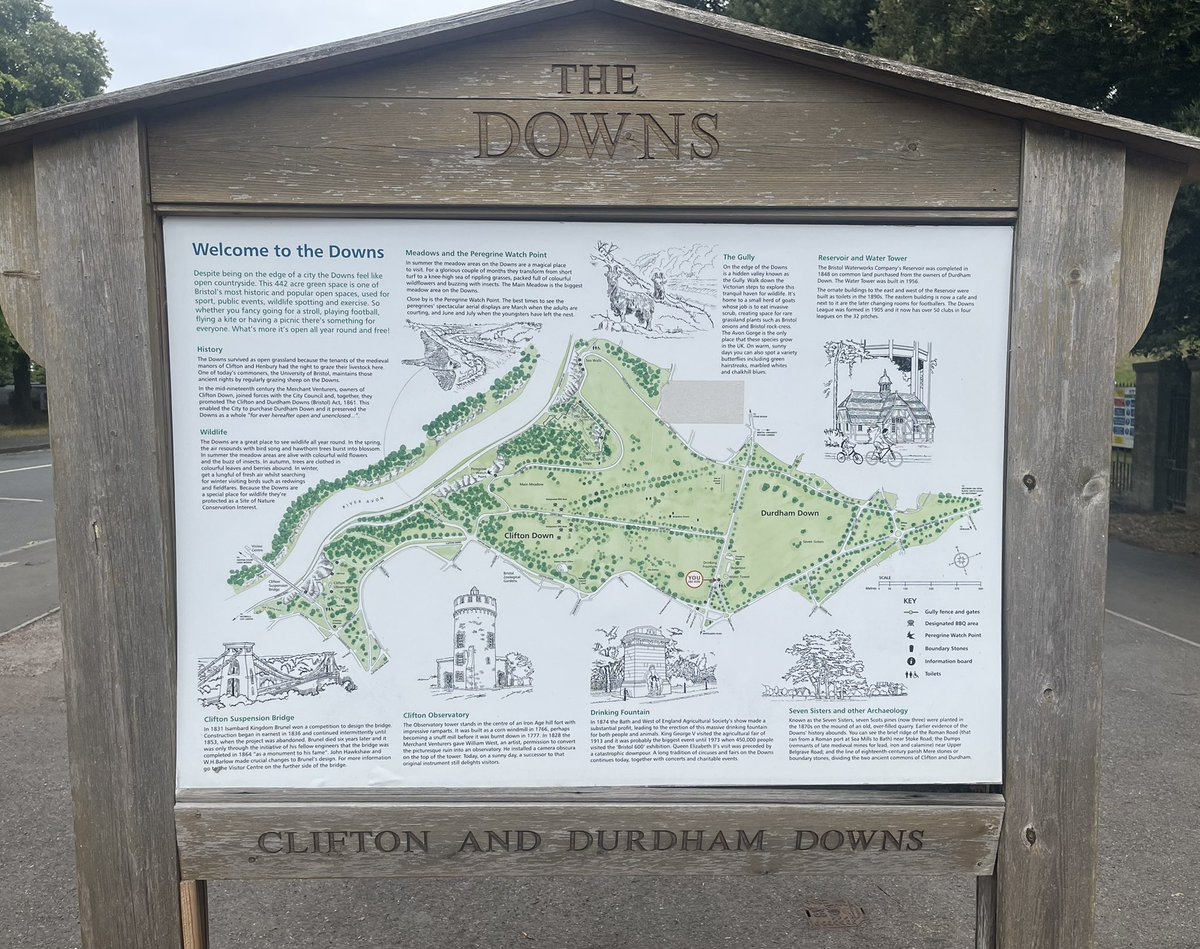 WeirdBristol's tweet image. One of the many oddities of Bristol is why one of the highest points of the city is called the “Downs”.
The name comes from the Celtic word “dūn”, meaning a grassy hill in southern England.
The North and South Downs, Dorset Downs and Epsom Downs are also named for this reason.