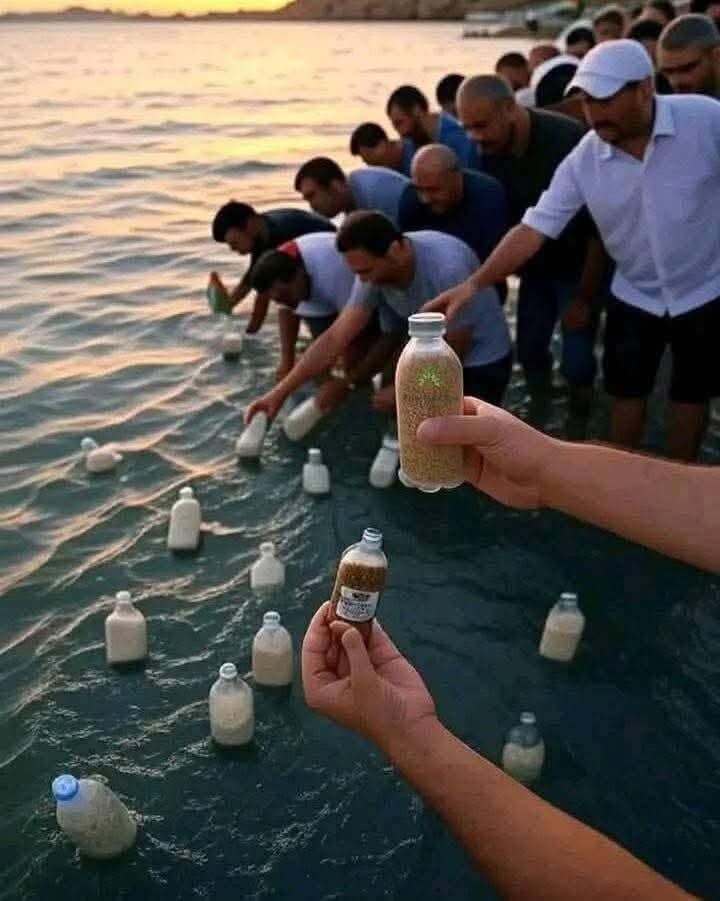 بمثل هؤلاء الضعفاء سلبت الحقوق، واستبيحت الكرامات، وأغتصبت الأوطان،وأستخف بكم الأعداء .