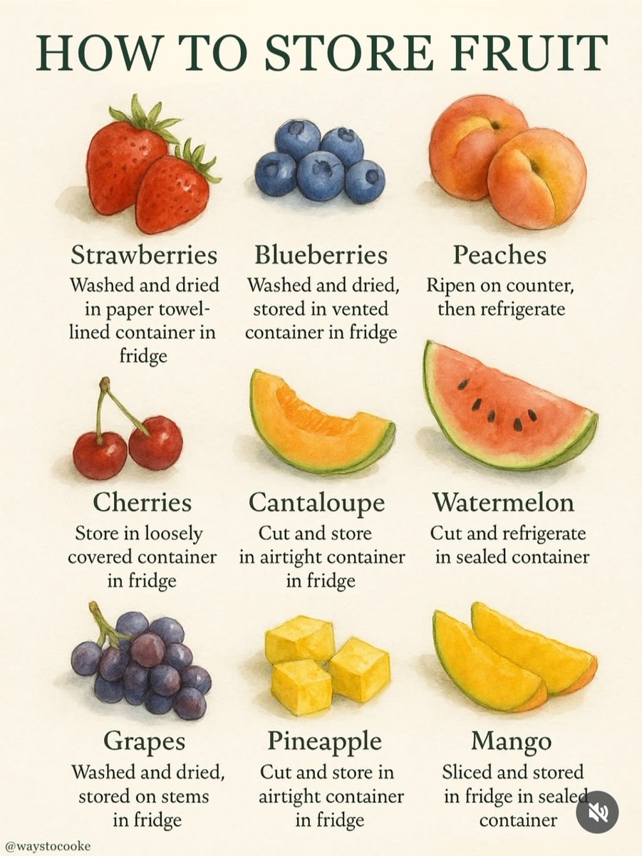 Mines (URL：g.cc).zdk