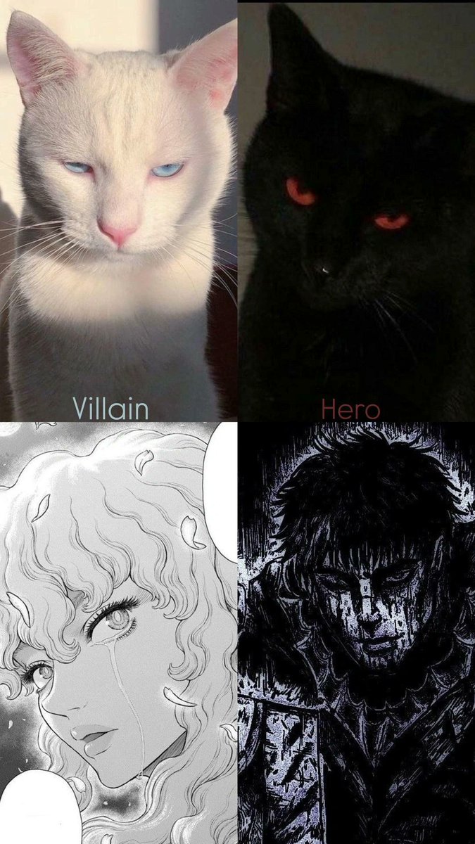 HxHperfectshot's tweet image. 