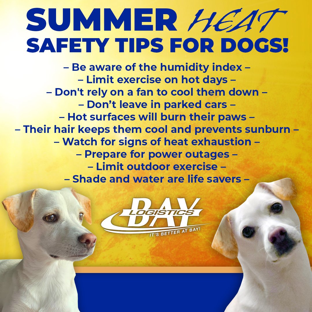 REMINDER!

Protect your dogs from the heat! Check out these valuable tips and tricks to keep your beloved pets safe when the weather gets too hot. #summerheat #safetytips #protectyourdogs