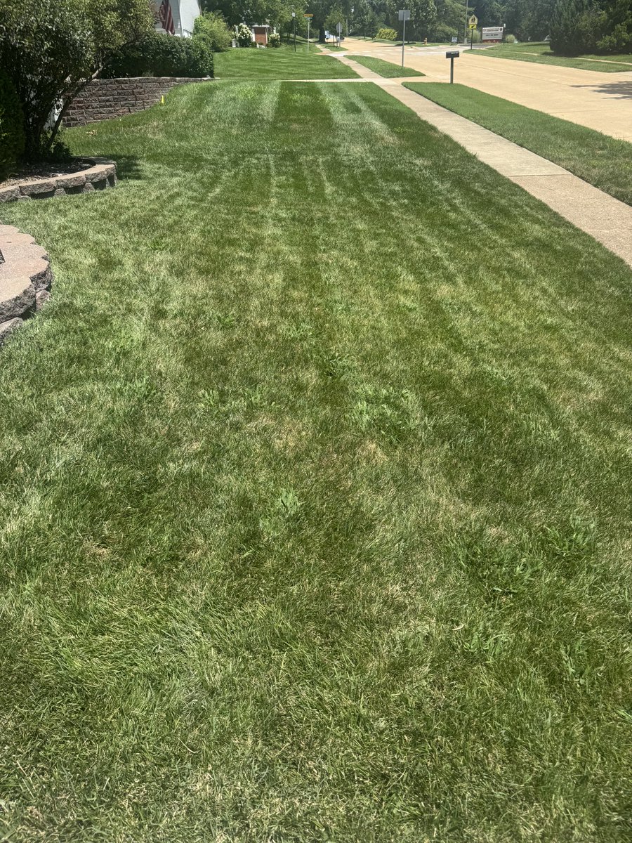 X_Fan_Dan25's tweet image. Thursday #mowing stats:
Temp: 95 degrees (48% humidity) 🥵
Length: 3.5 inches 📏
Direction: Horizontal ⬅️➡️
Grass: Bagged 💼
Sidewalk: EDGED 😏🤫✅🍆
Tunes: Big Bootie Mix vol. 25 🎶
Beer: 0 (healthy scratch) 😪
#LawnTwitter