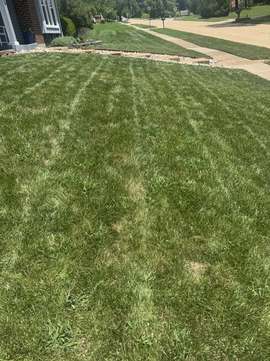 X_Fan_Dan25's tweet image. Thursday #mowing stats:
Temp: 95 degrees (48% humidity) 🥵
Length: 3.5 inches 📏
Direction: Horizontal ⬅️➡️
Grass: Bagged 💼
Sidewalk: EDGED 😏🤫✅🍆
Tunes: Big Bootie Mix vol. 25 🎶
Beer: 0 (healthy scratch) 😪
#LawnTwitter