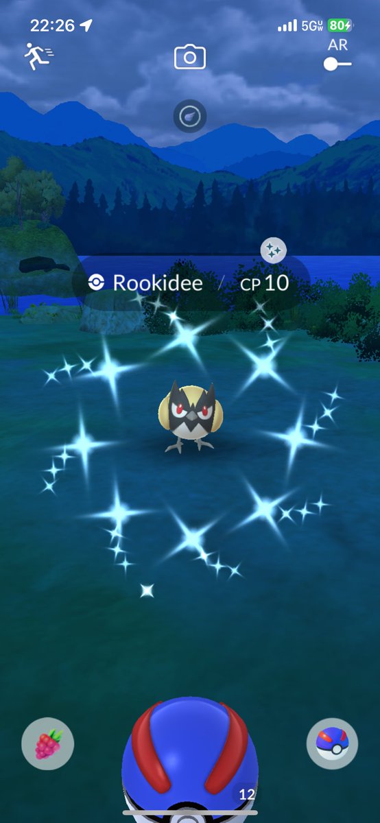 Level 1 shiny Rookidee ✨