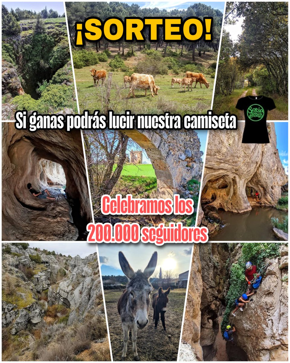 ¡SORTEAMOS 1 CAMISETA!
Sumamos 200.000 seguidores en las redes sociales de Soria está de moda y xa celebrarlo sorteamos una camiseta.
4 pasos muy sencillos:
1- Me gusta la foto 
2- Repostear
3- Mencionar a quién se regalarías
4- Seguir a @soriaestademoda y <a href="/pinareslaribera/">entrepinaresylaribera</a>