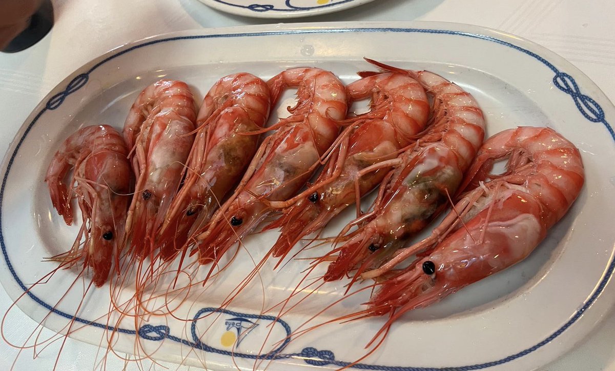 EXTRAORDINARIA la gamba “hervida” (hoy de Palamós) en <a href="/Arrocesymarisco/">Restaurante La Peña</a> …Germán compra muy bien y le tiene pillado el “punto” al bicho….Muy bien de precio (10 € unid) para las “salvajadas” que se ven hoy en día…🦐🥳👇